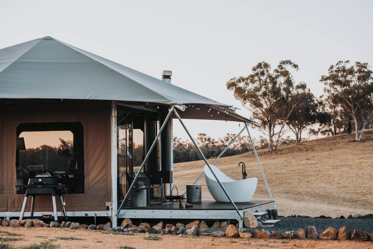Wildnest Luxury tent