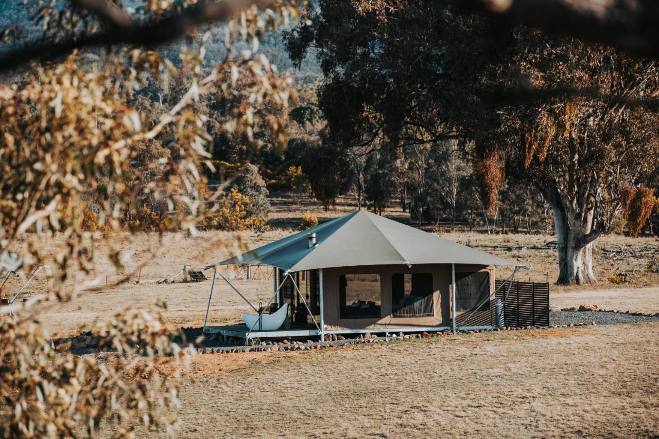 Wildnest Luxury tent Capertee